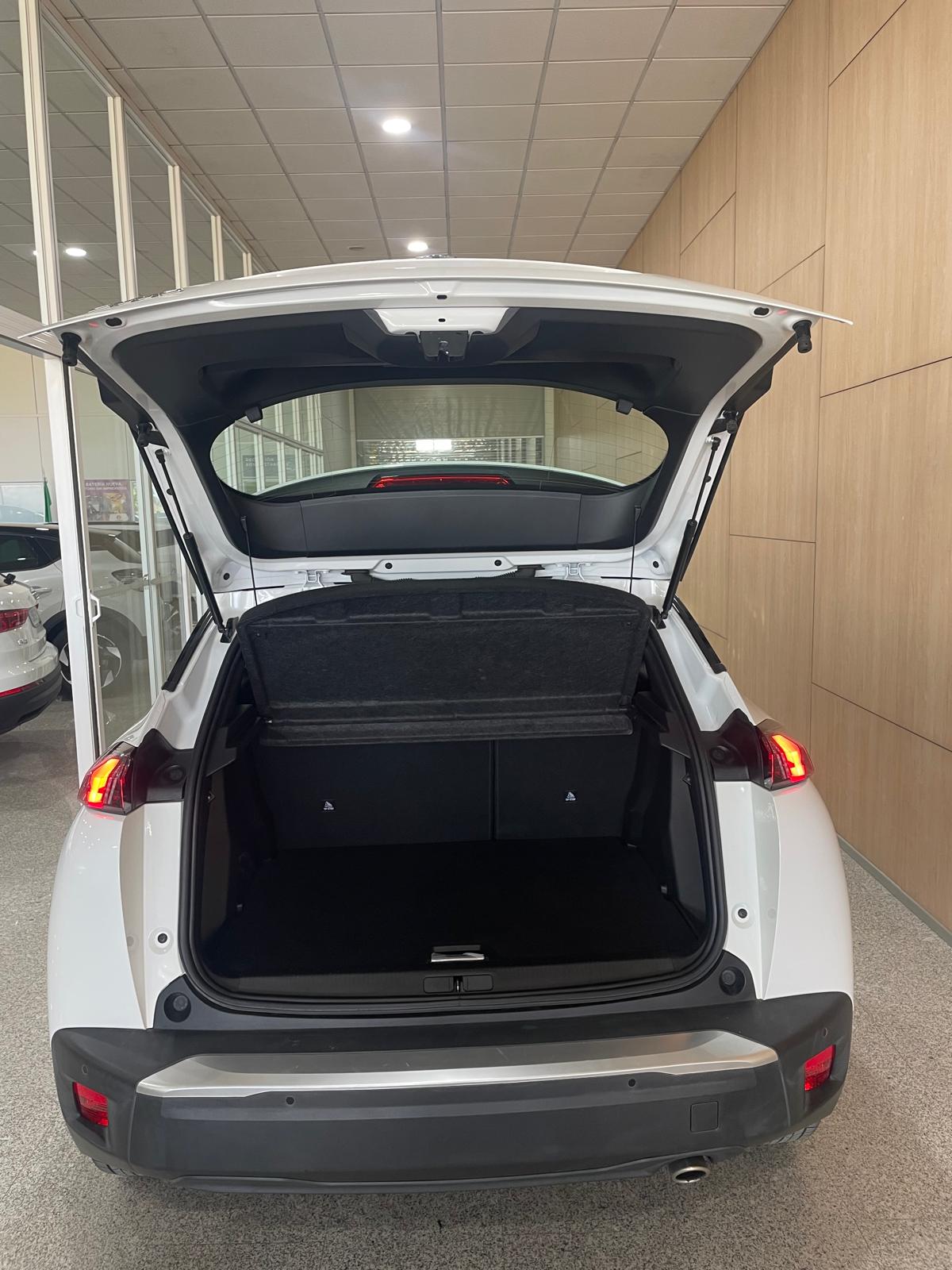 PEUGEOT 2008 ACTIVE PACK 1.5 BLUEHDI 110 CV
